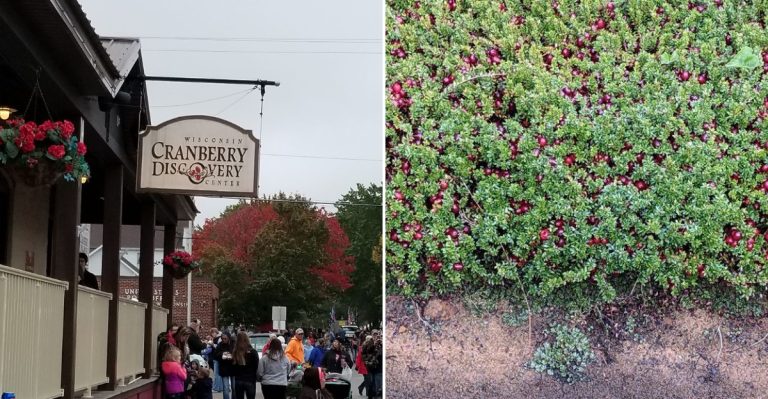 9 Things You Didn’t Know About Wisconsin’s Giant Cranberry Festival