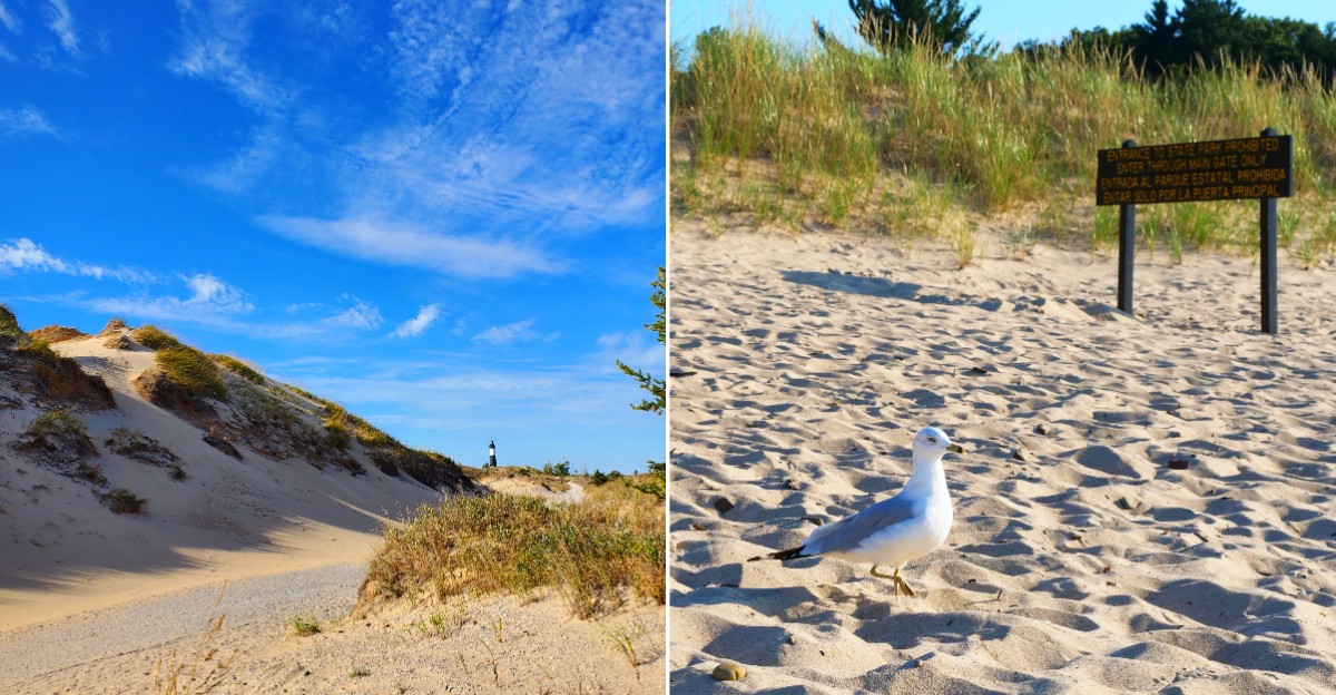Ludington State Park Beach