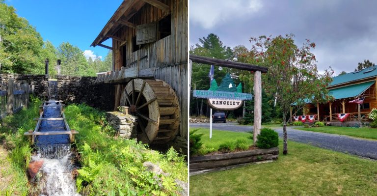 12 Maine Fall Day Trips Packed With Fun Without Draining Your Wallet