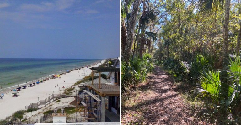 7 Florida Scenic Drives That Truly Belong On Every 2026 Bucket List