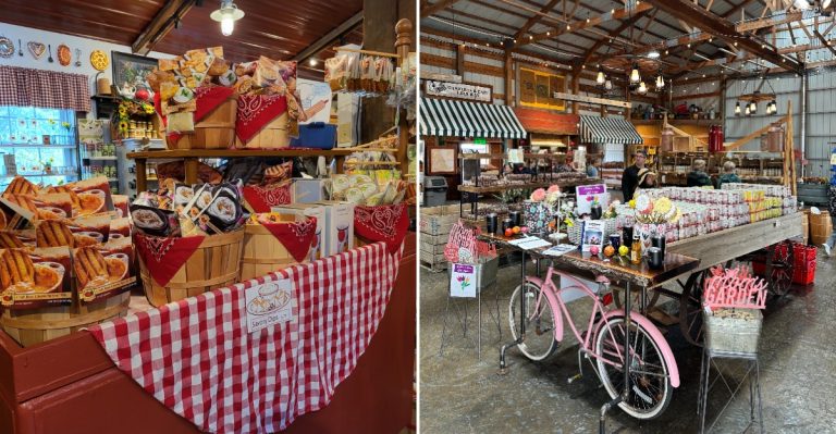 This Overlooked Illinois Orchard Presses Fresh Cider You Can Sip Right By The Trees