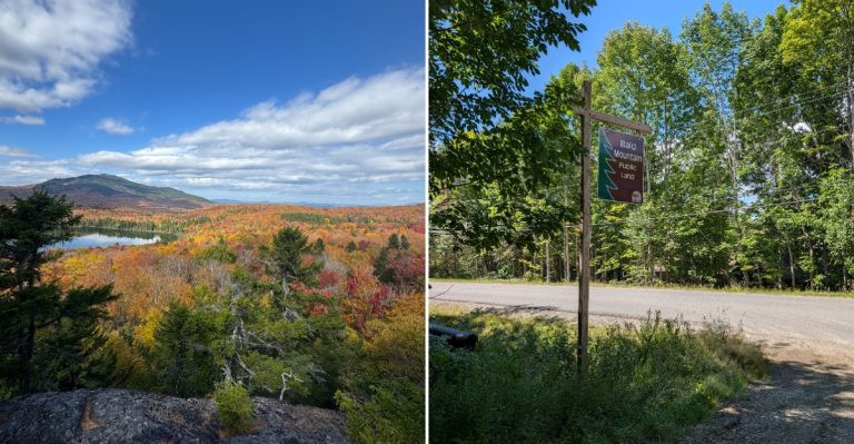 10 Maine Hiking Trails Locals Approach With Caution In Fall When Moose Are Especially Active