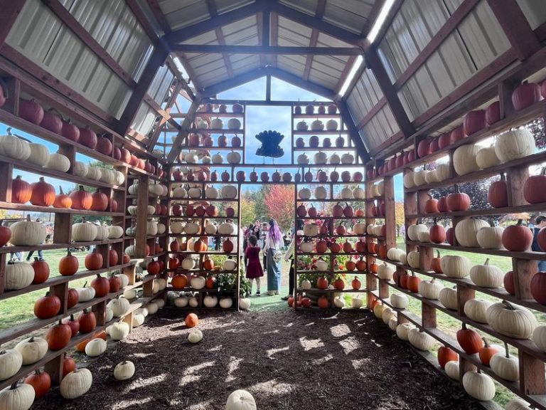 Wander Through Rows Of Pumpkins And Hay Mazes At This Family Farm Near Snohomish, Washington