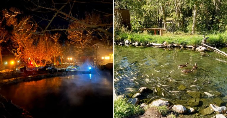 There’s A Hidden Hot Spring in Colorado That Promises Natural Healing And Deep Relaxation