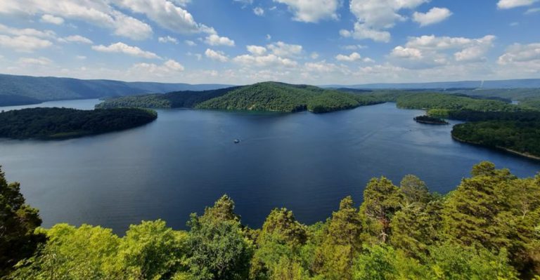 This Pennsylvania Lake Shore Is Getting Too Snake-Filled For Its Own Good