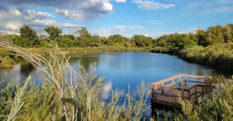 This Massive Colorado State Park Has A Native Rattlesnake Population So Locals Know To Watch Their Step