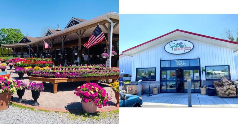 9 New York Grocery Markets That Make Big-Chain Prices Hard To Defend
