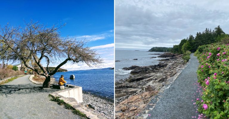This Gorgeous 1.5-Mile Maine Path Is Basically Heaven On Earth