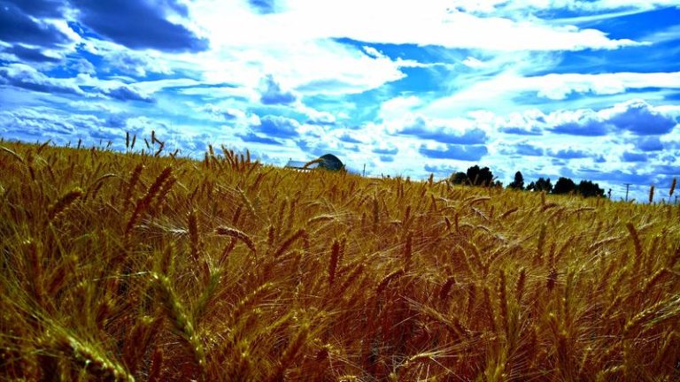 Rent Still Runs Around $650 In This Quiet Washington Wheat Town Where Retirees Stretch Every Dollar