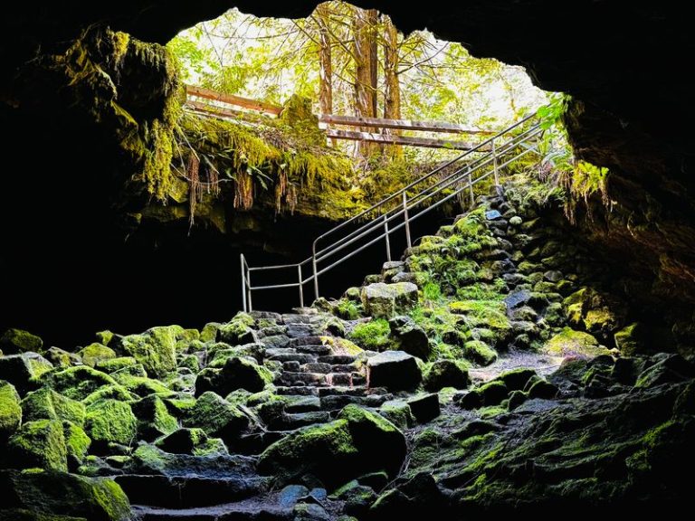 This Washington Cave Trail Leads You Into A Lava Tube So Dark You’ll Need Two Flashlights