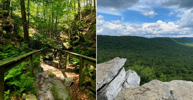This Pennsylvania Mountain Overlook Has A Secret Snake Problem