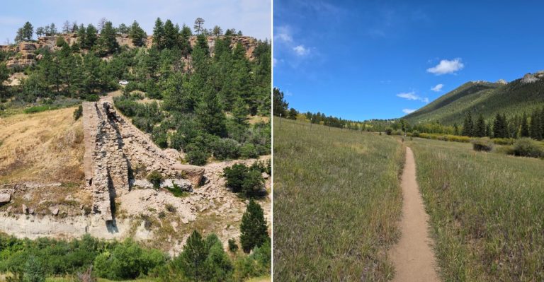 10 Colorado Places Where Tick Exposure Is Possible