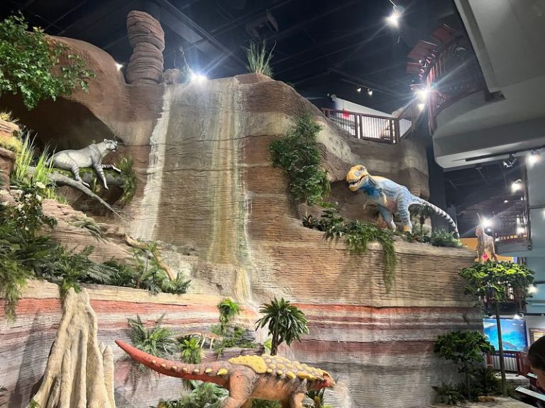 Inside Mesa’s Arizona Museum Of Natural History, Kids Come Face To Face With Towering Dinosaurs