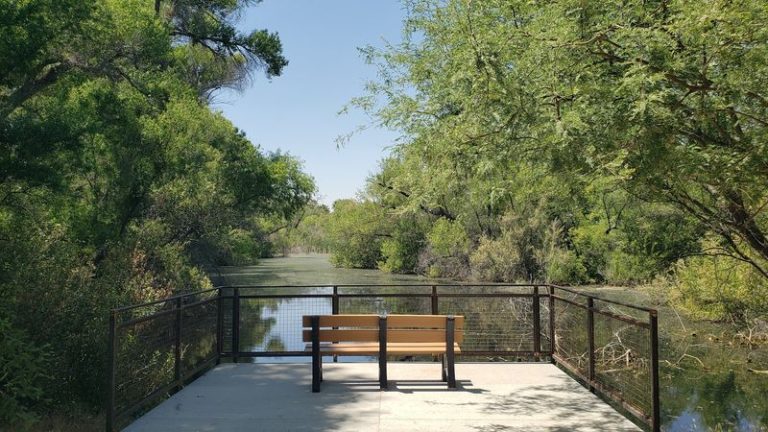 Hummingbirds, Owls, And Shady Creekside Trails Make This Free Arizona Preserve Worth An Early Morning