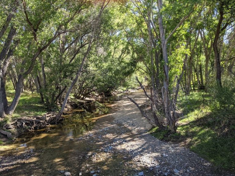 This Arizona Nature Preserve Swaps Screen Time For Streamside Trails Winding Through Cottonwood Forest And Riparian Wetlands