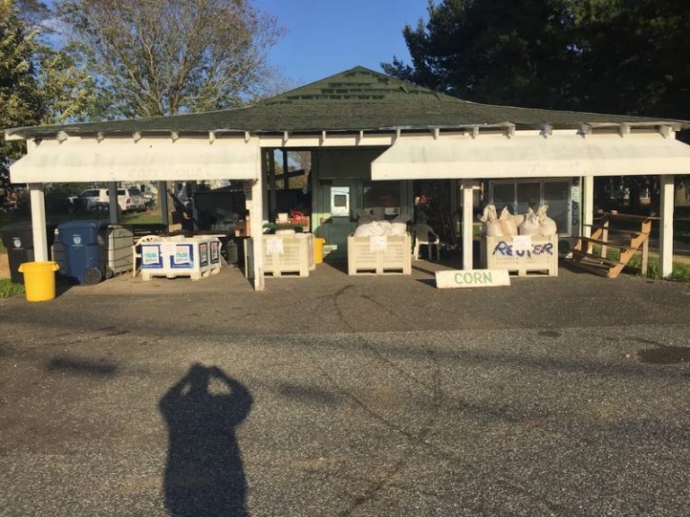 This Indoor Illinois Flea Market Is Packed With Rare Finds And Prices That Feel Unreal