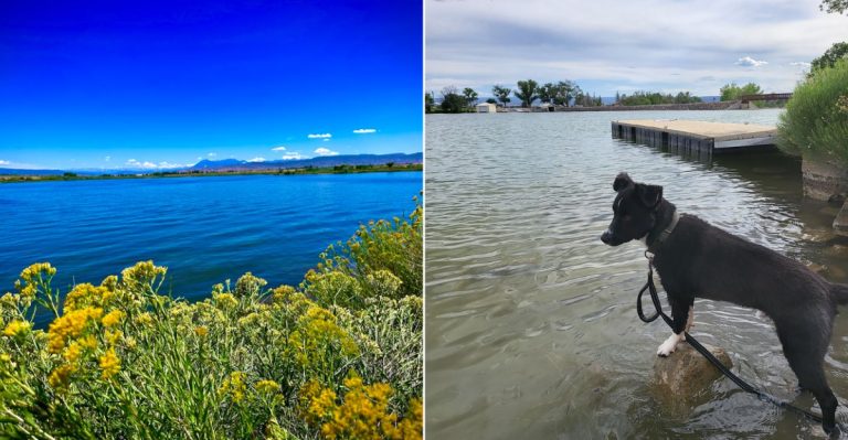 This Tiny Colorado State Park Hides One Of The West’s Best Beach Escapes Of The Summer