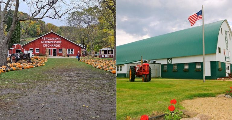 12 Wisconsin Farms That Turn Apple Season Into A Full-Day Adventure