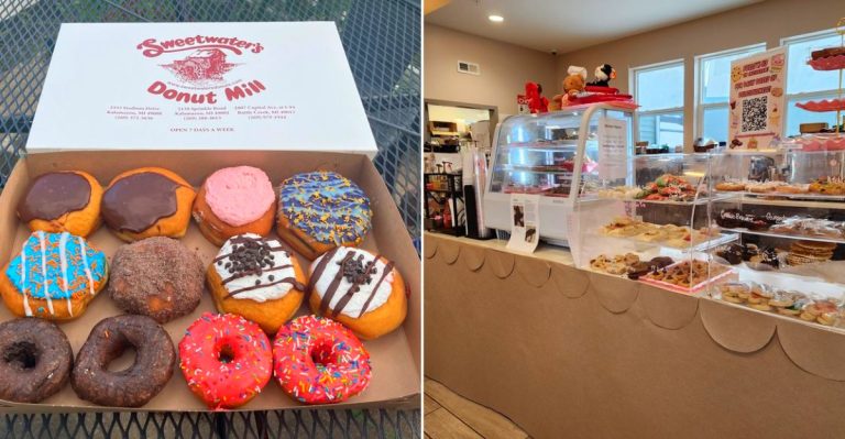 Best Michigan Donut Shops