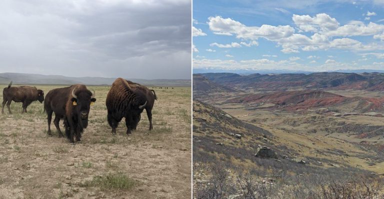 This Protected Colorado Prairie Is A Breathtaking Window Into An Almost Lost World