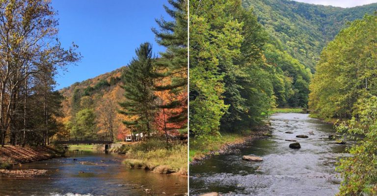 This Pennsylvania Tick Map Is So Accurate People Plan Road Trips Around It