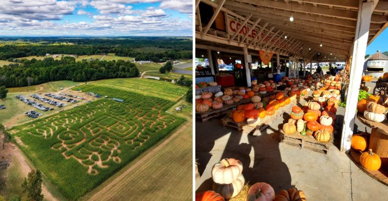 9 Dirt-Cheap Fall Day Trips In South Carolina You Will Want To Take This Year