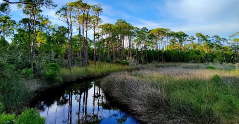 This Tiny Alabama Waterfront Town Is Just 10 Miles From Gulf Shores But Feels Like Another World