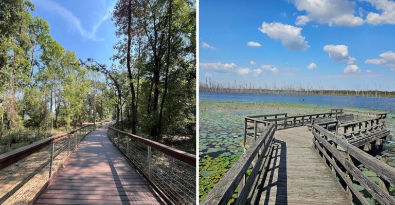 12 Arkansas Lake Boardwalks, Piers, And Waterfront Walks Worth Experiencing This Year