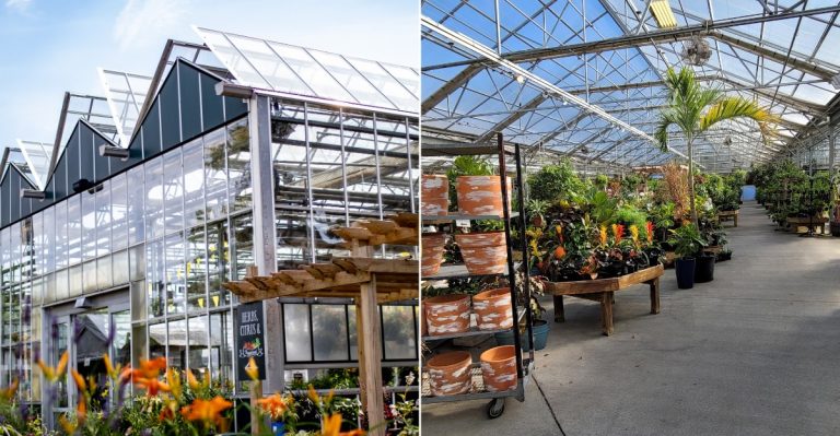 10 Virginia Garden Centers Where Locals Go For Plants They Can’t Find At Big-Box Stores