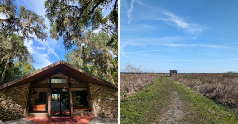 This Under-The-Radar Florida Park Might Be The Best Place To See Wild Bison