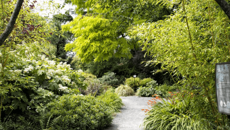 Most Washingtonians Have No Idea This Breathtaking Botanical Garden Is Even Hiding Here