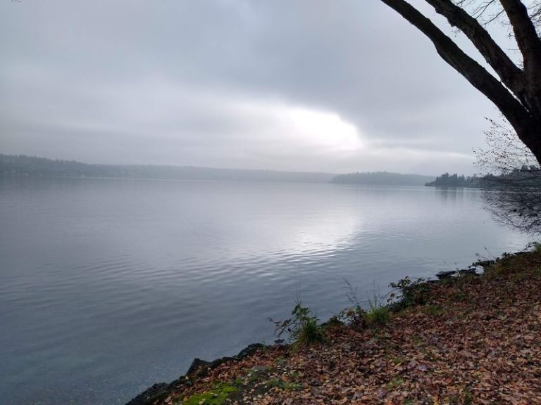 These 7 Secret Washington Spots Are So Remarkable Even Lifelong Locals Are Just Finding Them