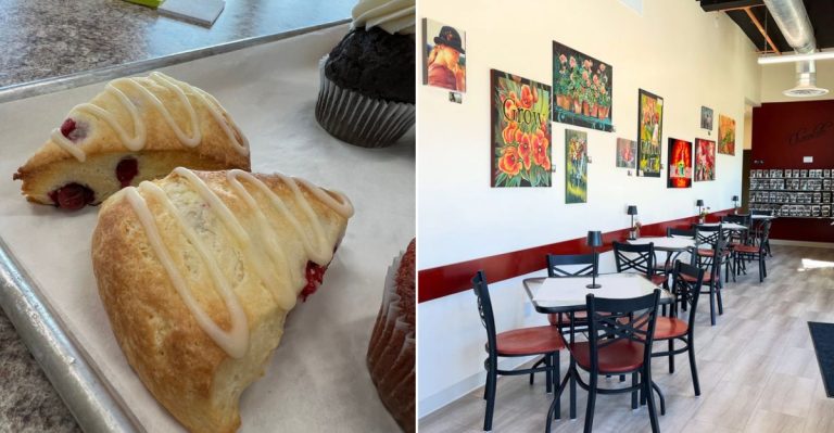 Washington Gluten-Free Bakery With Treats Worth Every Mile In 2026