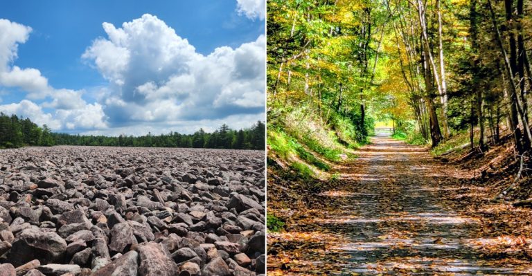 10 Places In Pennsylvania Where You Might Spot A Rattlesnake This October