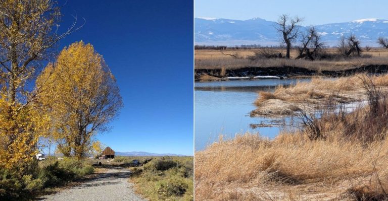 This Colorado Wildlife Refuge Is The Peaceful Escape Everyone Needs This Fall