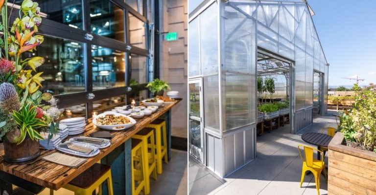 This Colorado Greenhouse Café Turns Brunch Into A Garden Escape Led By An Award-Winning Chef