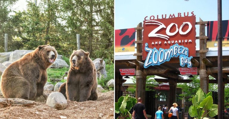 You Can Get Up Close And Touch Stingrays At This Huge Ohio Zoo
