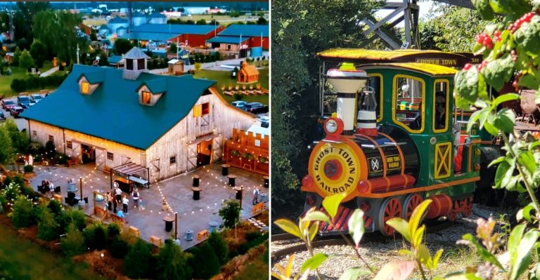 This Stunning Train Ride In Illinois Is Packed With Fall Scenery And Fun For All Ages