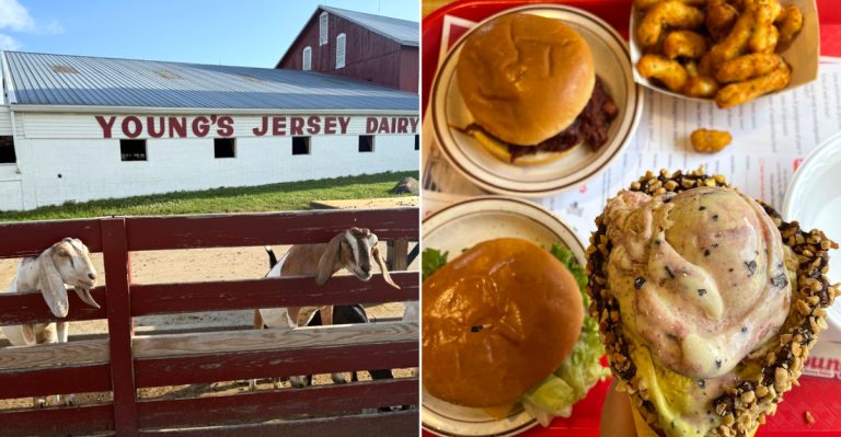 This Rural Ohio Dairy Farm With Adorable Cows Makes Ice Cream People Drive Hours To Try