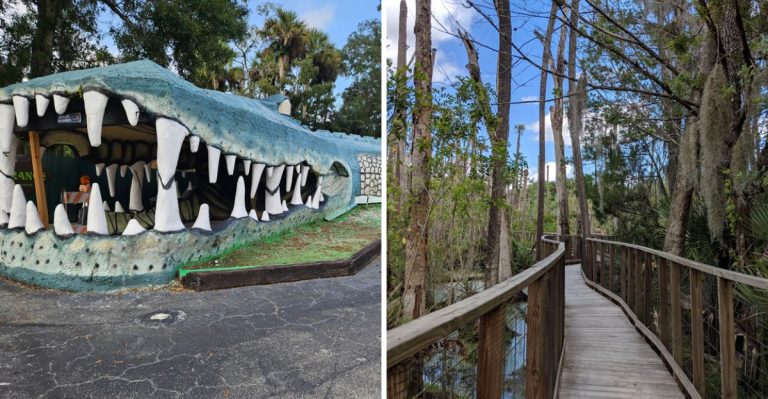 The World’s Largest Alligator-Shaped Building Is Hiding In Florida
