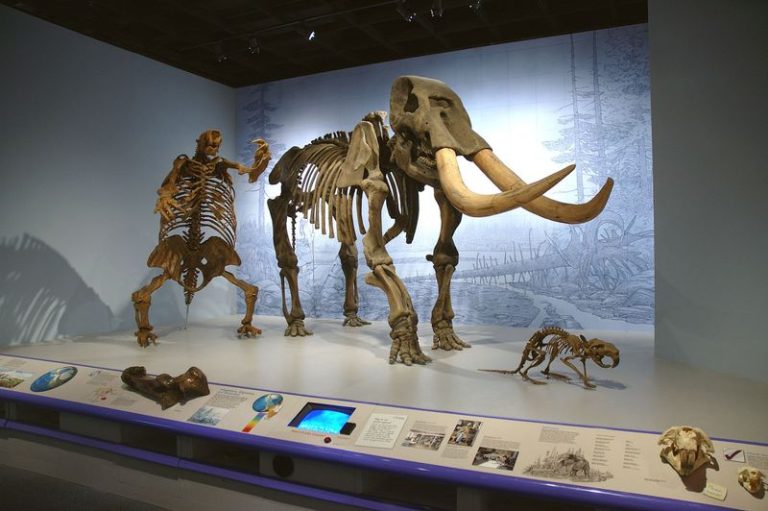 A Secret Museum In Illinois That’ll Make You Lose Track Of Time