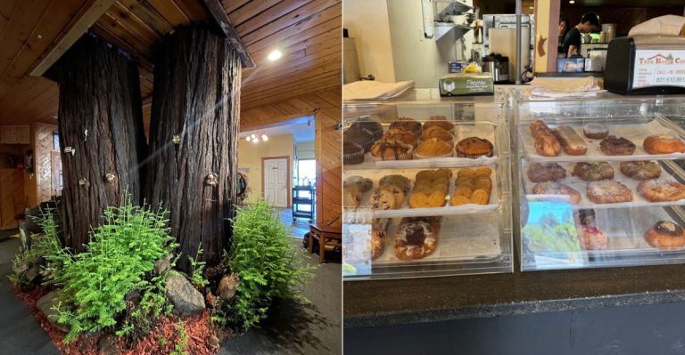 This California Restaurant Is Built Around A 100-Year-Old Redwood Tree