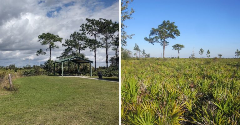 Follow An Old Railroad Trail To A Forgotten Florida Ghost Town Where History Still Lingers