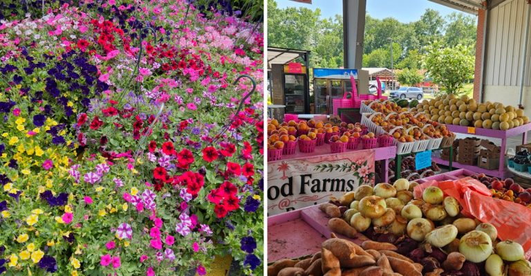 Everyone Shops At Publix, But This South Carolina Farmers Market Has Locals Raving About Its Affordable Produce