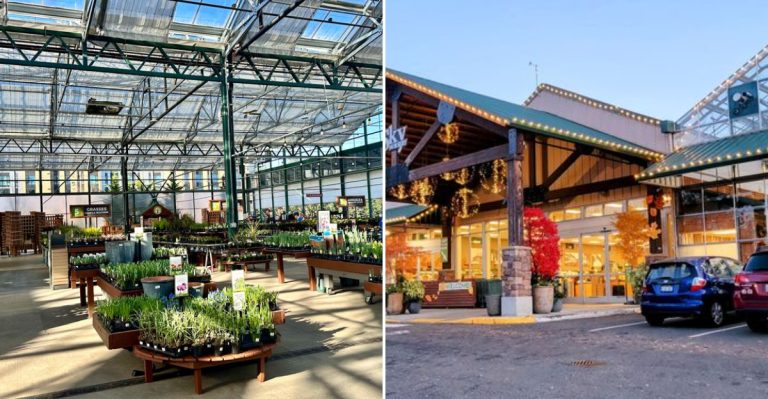 A Coffee Stand Is Waiting Inside This Long-Running Washington Garden Center