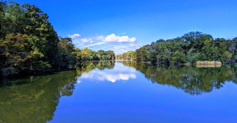 This Louisiana State Park Has A Lake Most Travelers Still Haven’t Discovered