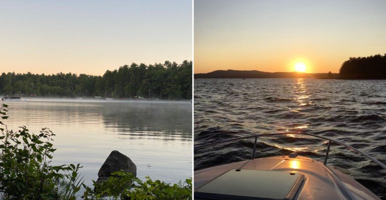 This Maine Lake Shore May Be Getting Too Snake-Filled For Comfort