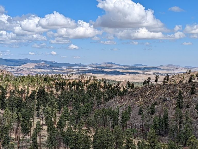 The Drive Along Arizona’s White Mountain Scenic Byway Covers 15 Miles Of Pure Hidden-Gem Views
