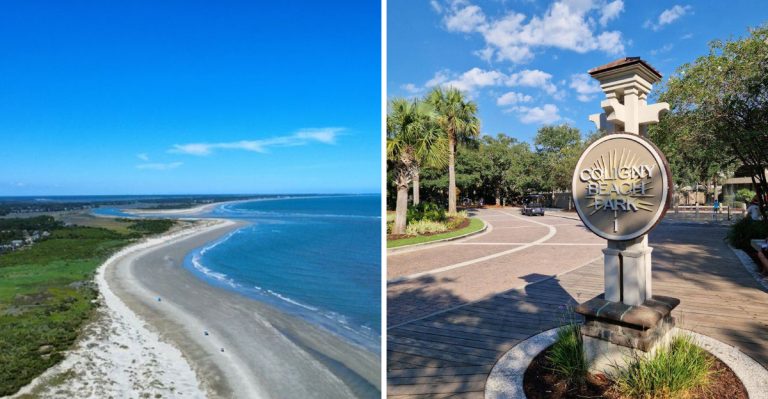 This Simple South Carolina Beach Map Quietly Tracks Some Of The Biggest Shark Sightings In The State