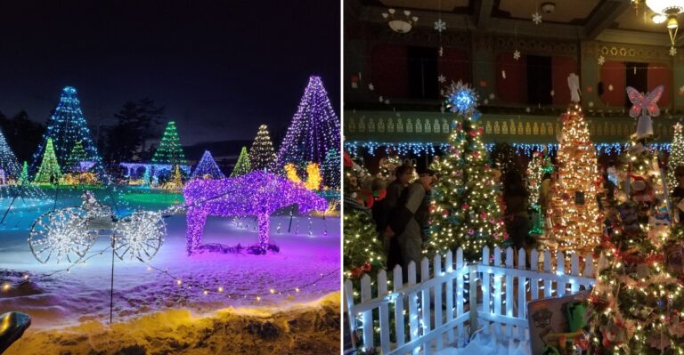 Maine Has Some November Festivals You Won’t Want To Miss Before 2026 Ends
